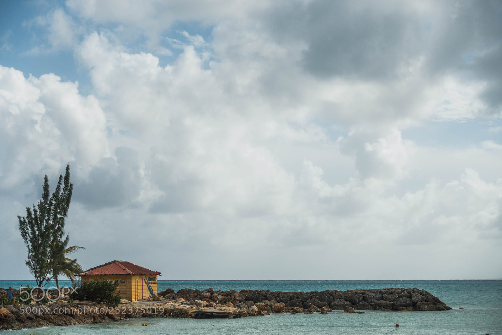Sony Cyber-shot DSC-RX100 III sample photo. Shak in the bay photography