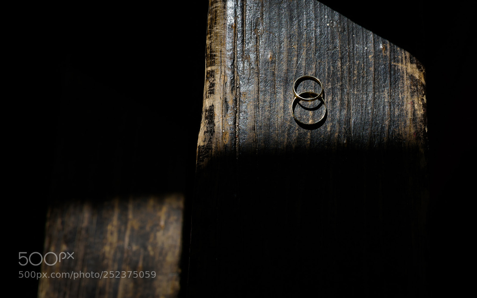 Nikon D810 sample photo. Wedding rings photography