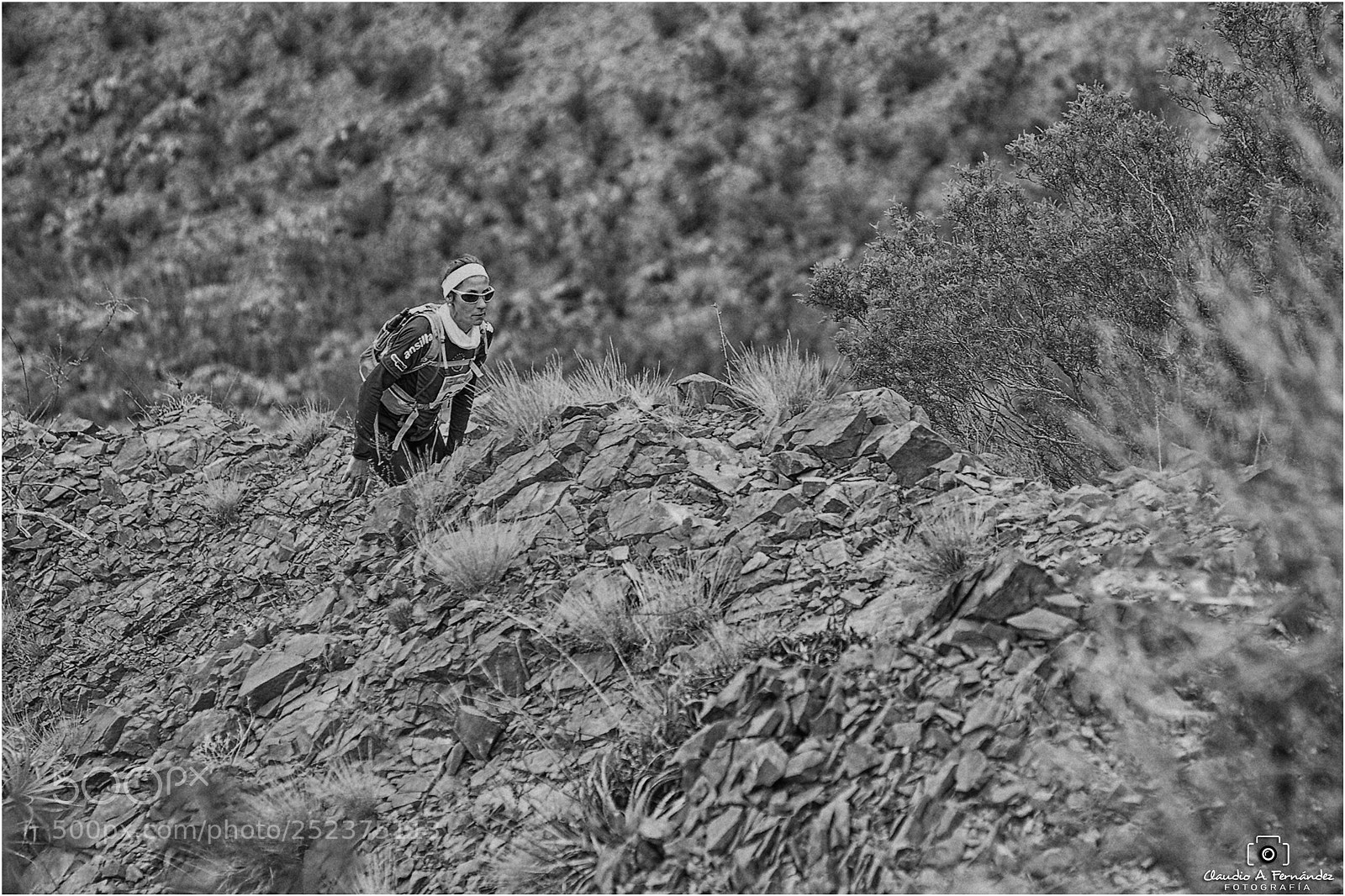 Nikon D700 sample photo. Desafio ansiltas photography