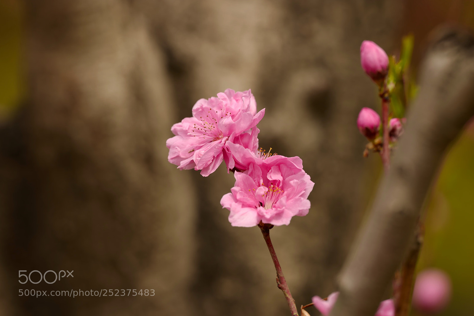 Leica SL (Typ 601) sample photo. Untitled photography