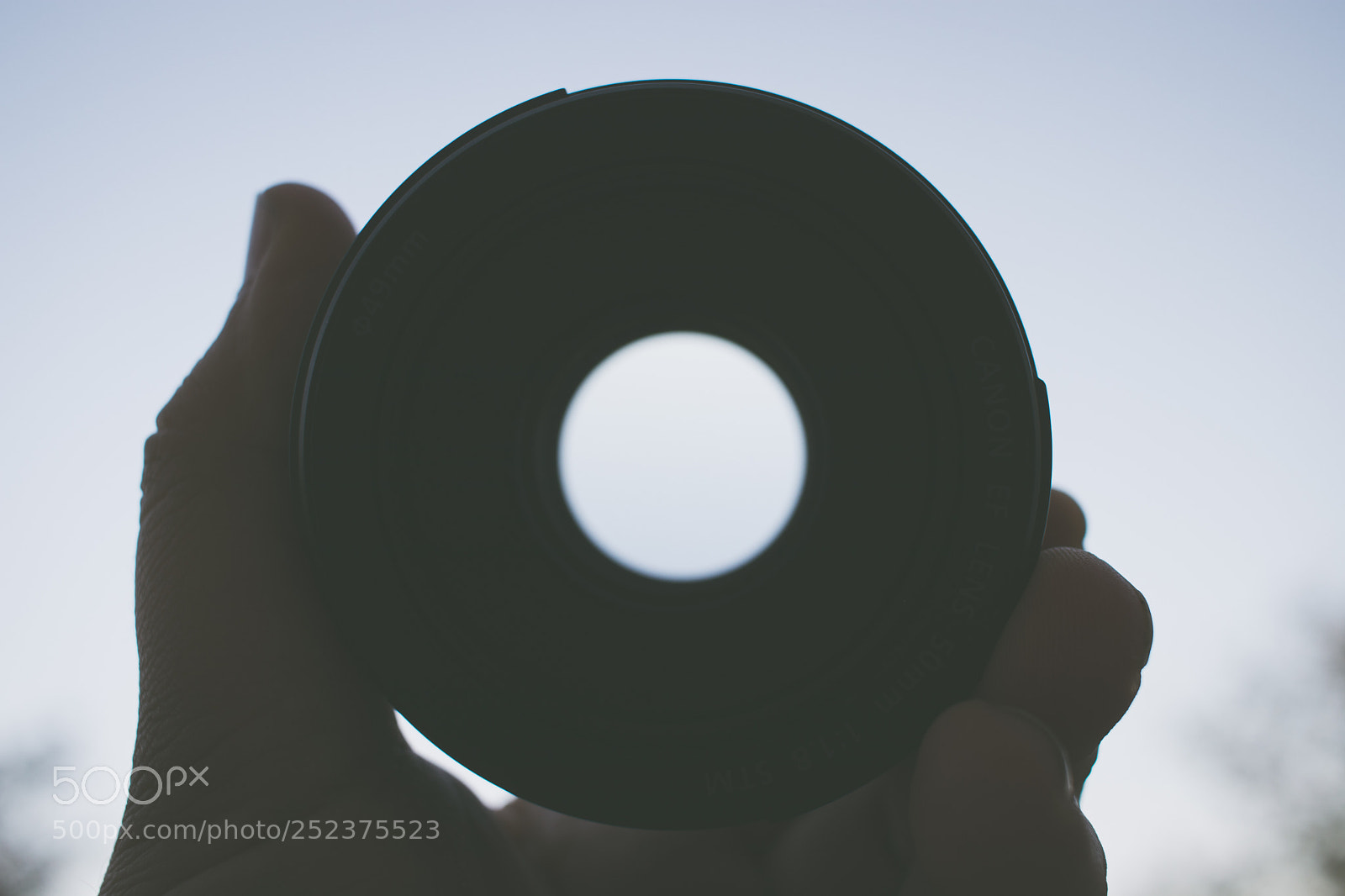 Canon EOS 80D sample photo. Favorite lens; nifty fifty photography