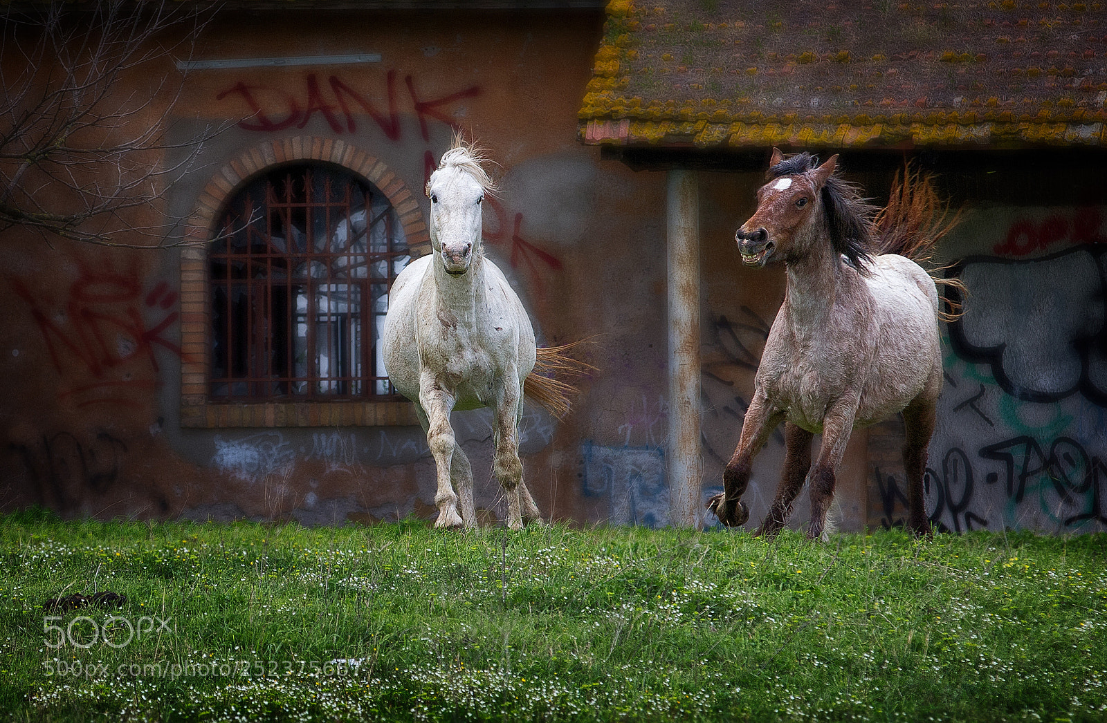 Canon EOS 60D sample photo. Untitled photography