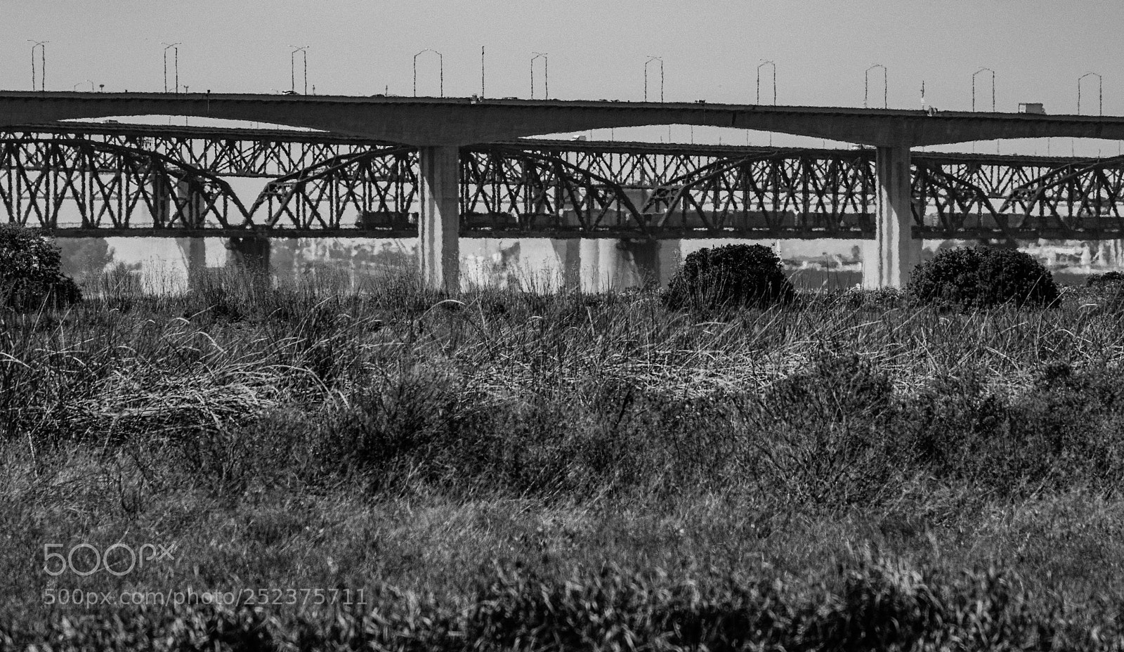 Canon EOS-1D X sample photo. Three bridges through heat photography