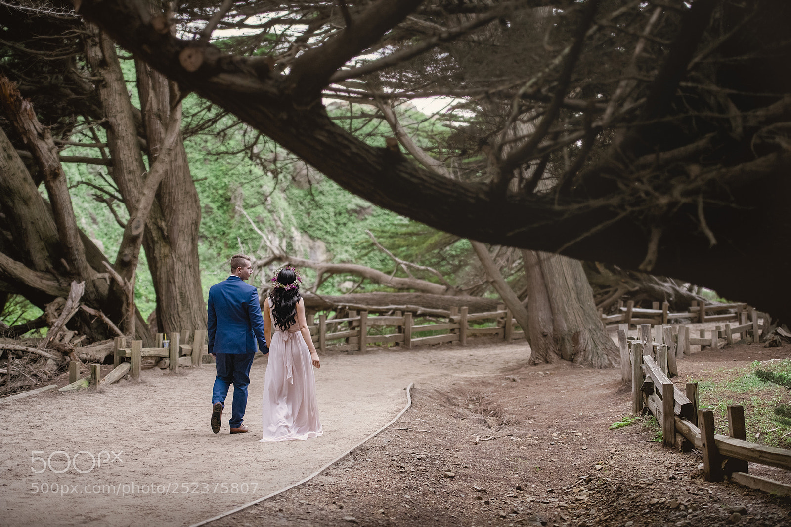 Nikon D850 sample photo. Untitled photography