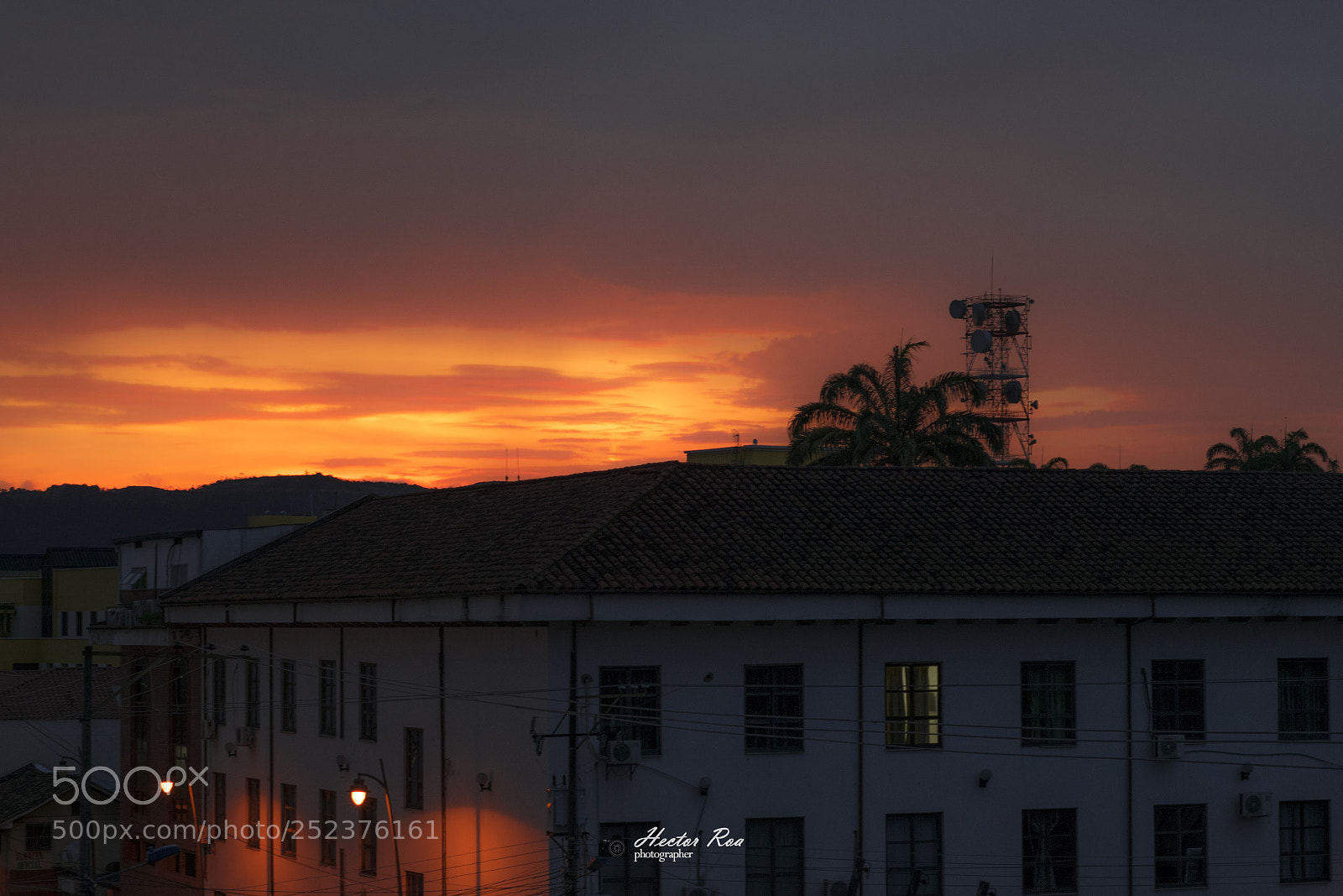 Nikon D5300 sample photo. Orange picture photography