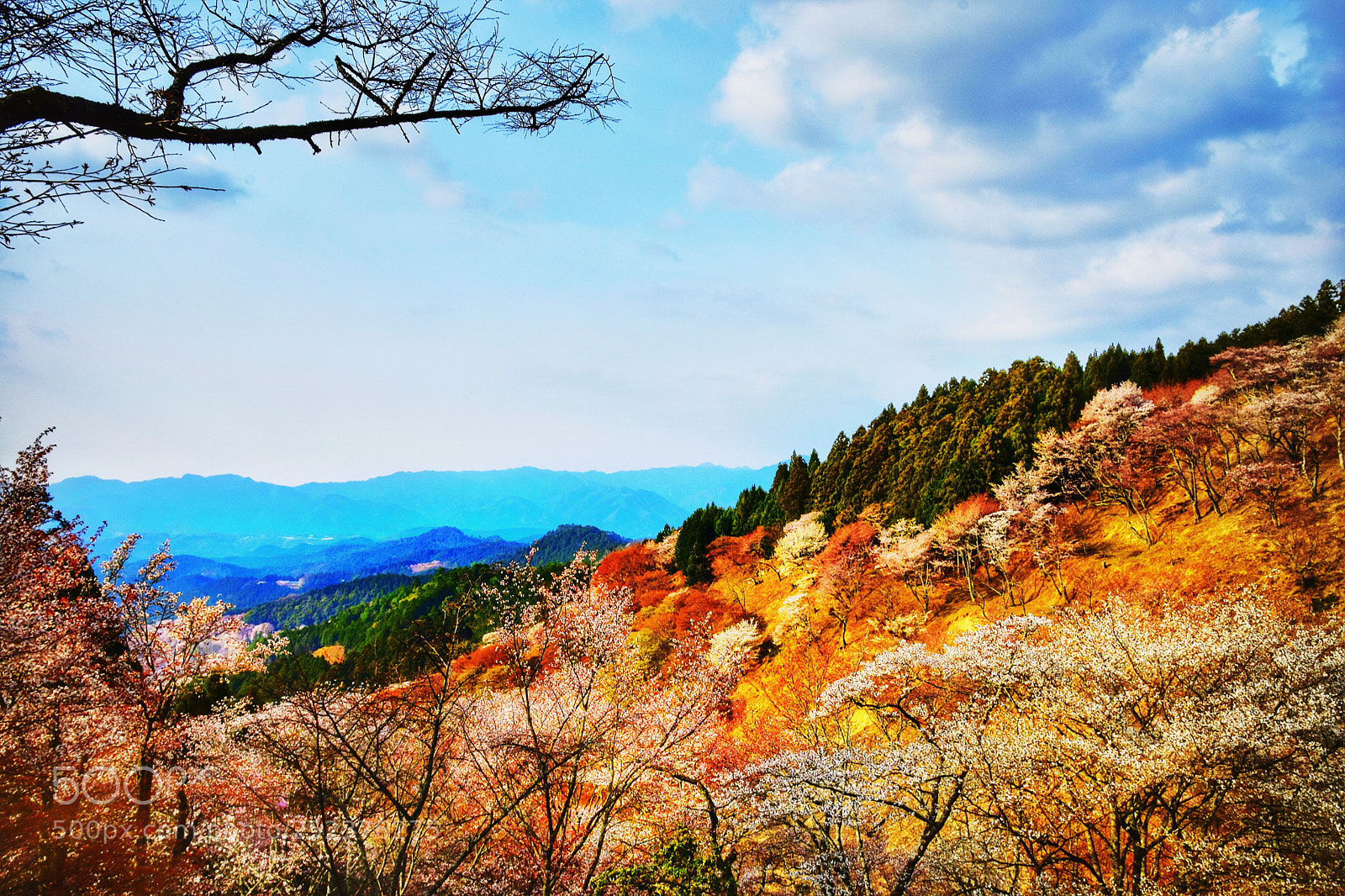 Nikon D3300 sample photo. A colorful mountain range photography