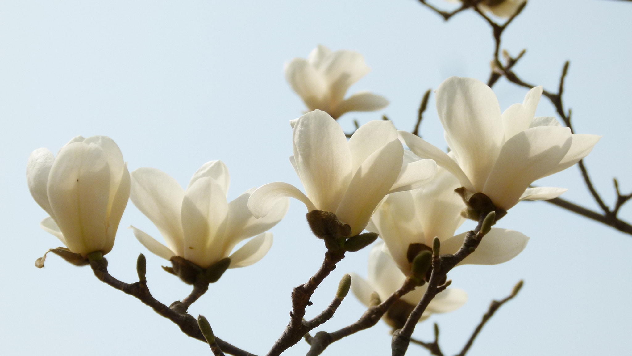 Leica V-Lux 2 sample photo