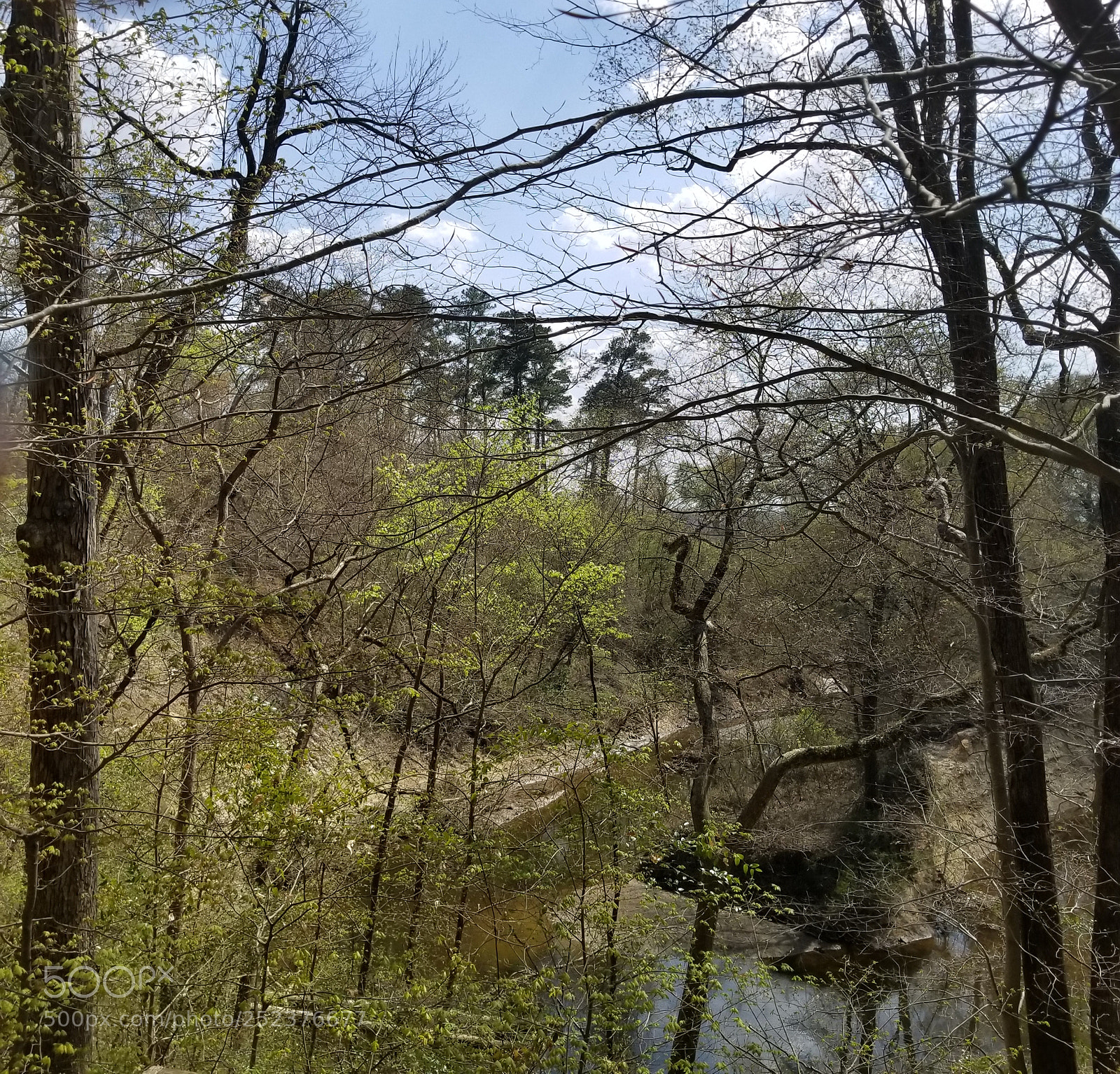 Samsung Galaxy S8 sample photo. Peaceful green photography