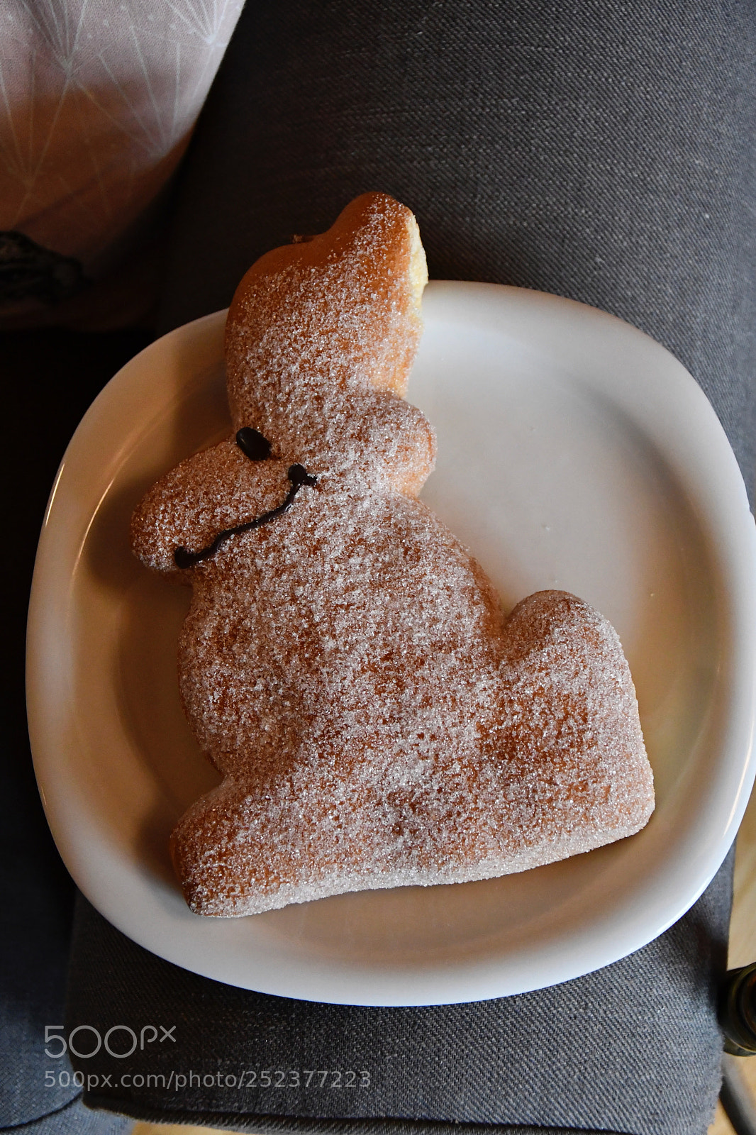 Nikon D7500 sample photo. Tasty bunny photography