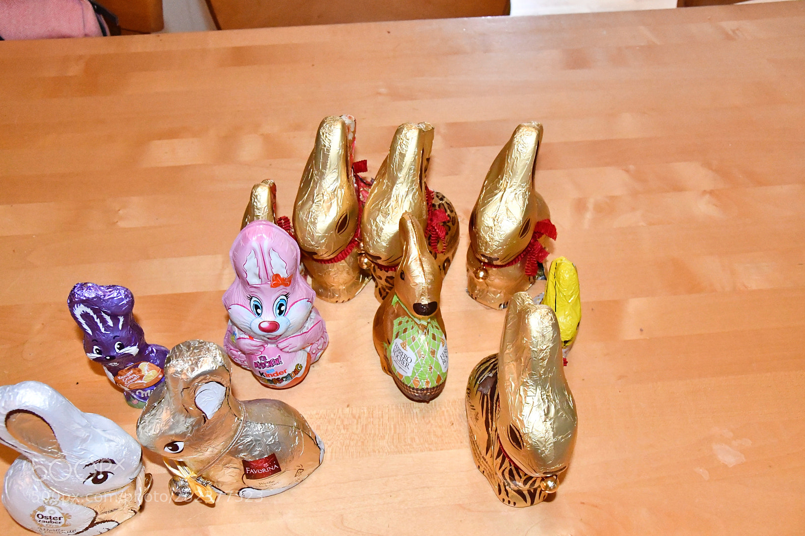 Nikon D7500 sample photo. Bunnies lost until next photography