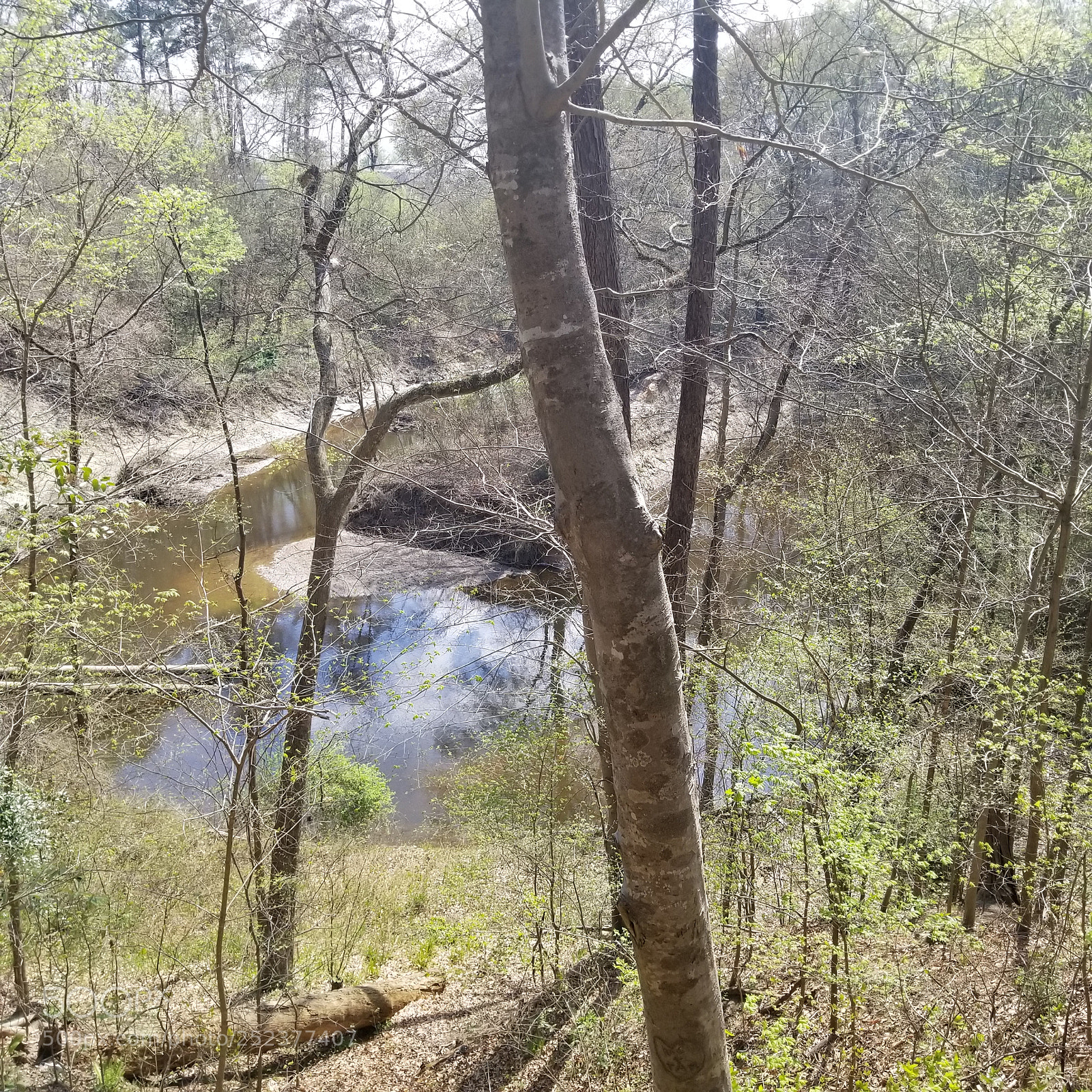 Samsung Galaxy S8 sample photo. Hidden reflection photography