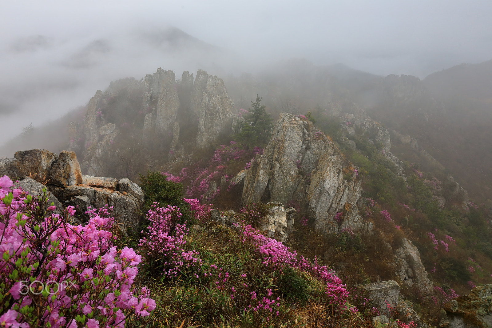 Canon EOS 5D Mark IV + Canon EF 17-40mm F4L USM sample photo. Jujak mountain photography