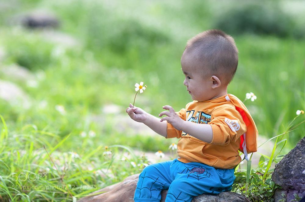 Nikon D300 sample photo. Colorful spring photography