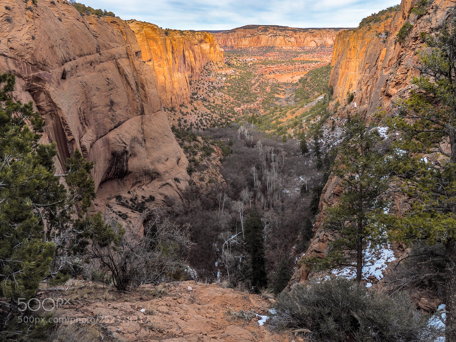 Olympus PEN E-PL7 sample photo. Navajo national monument photography