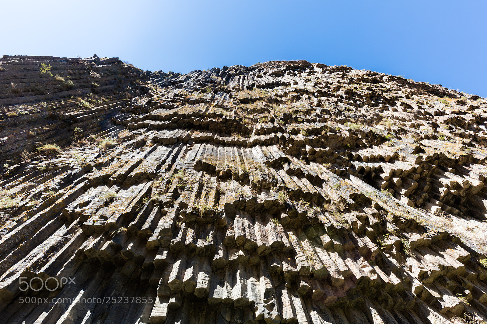 Canon EOS 5DS R sample photo. Picture of the day photography