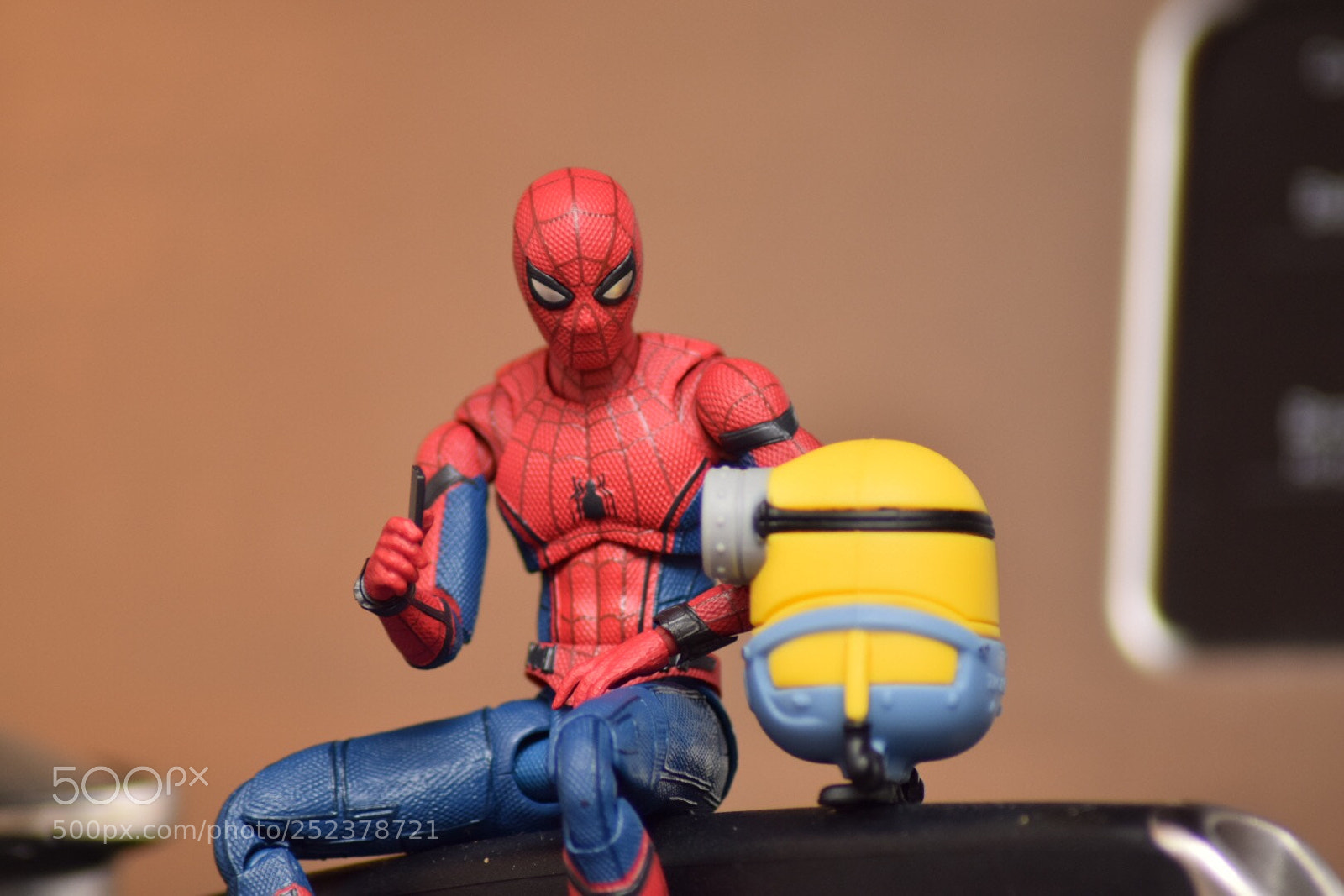 Nikon D5300 sample photo. Spidey you were right photography