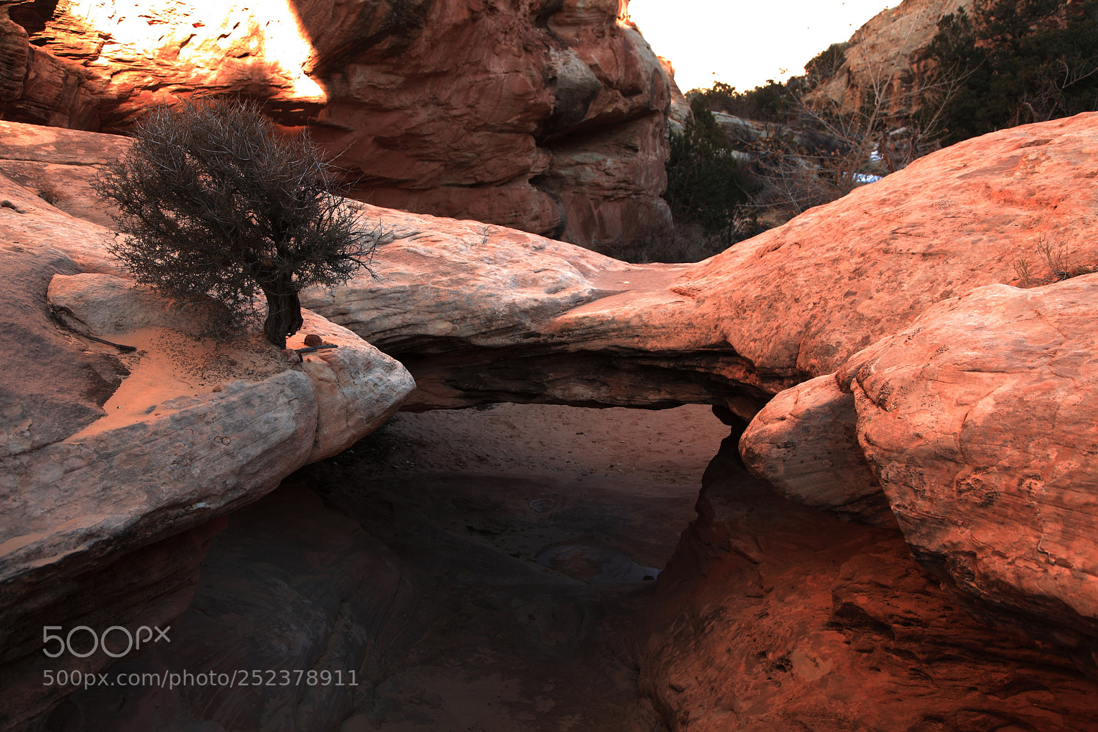 Canon EF 24-105mm F4L IS USM sample photo. Living with stone bridge photography