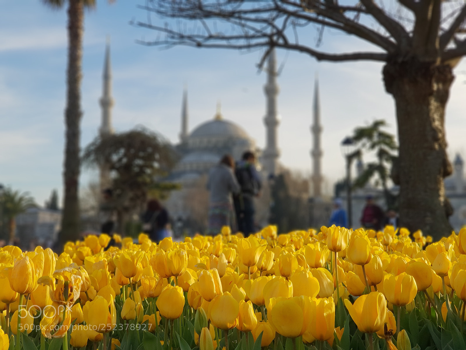 Samsung Galaxy S9+ sample photo. Untitled photography