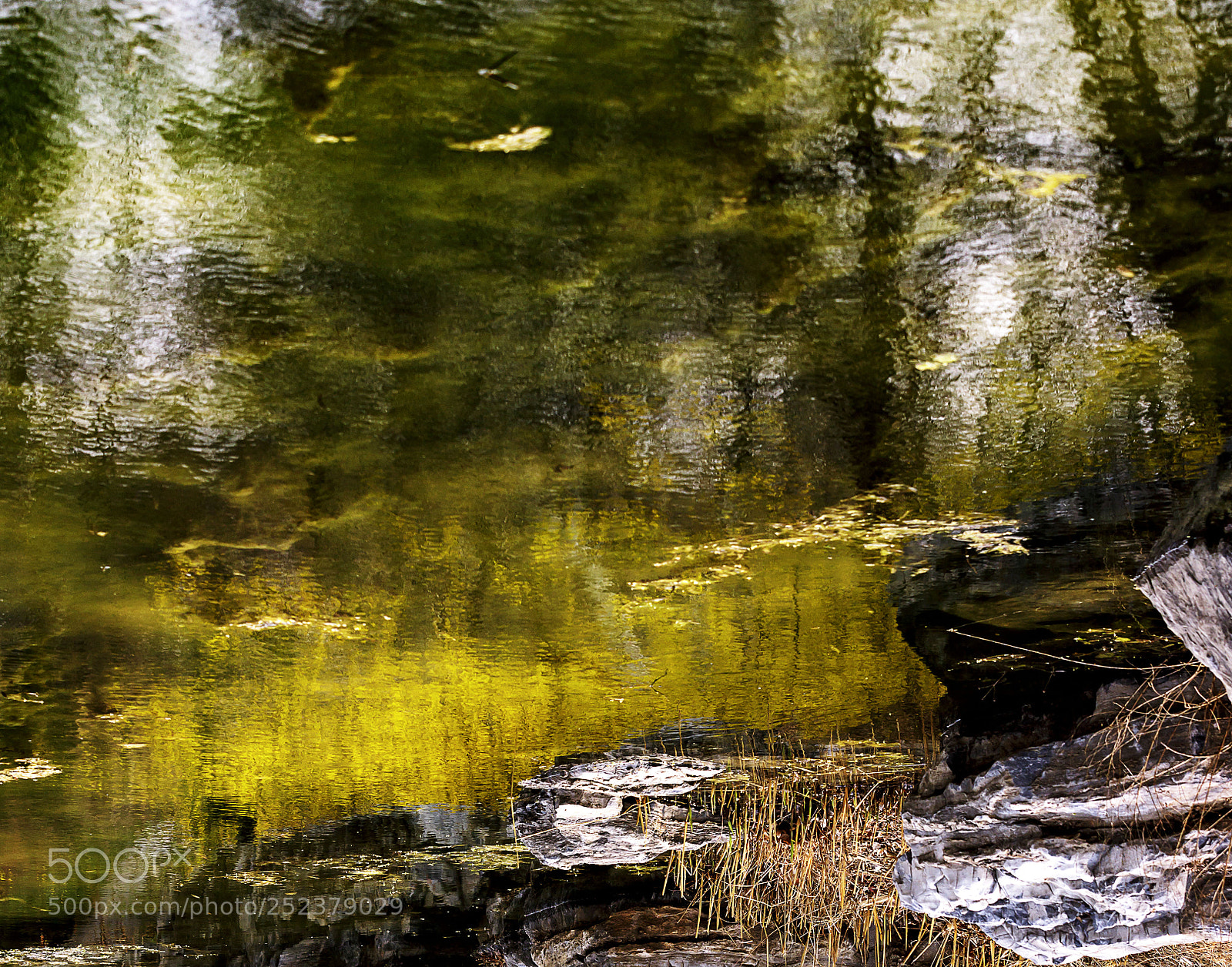 Canon EOS 6D Mark II sample photo. Untitled photography