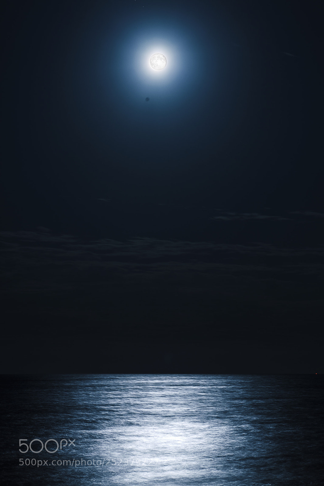 Canon EOS 5D Mark II sample photo. Nocturna photography