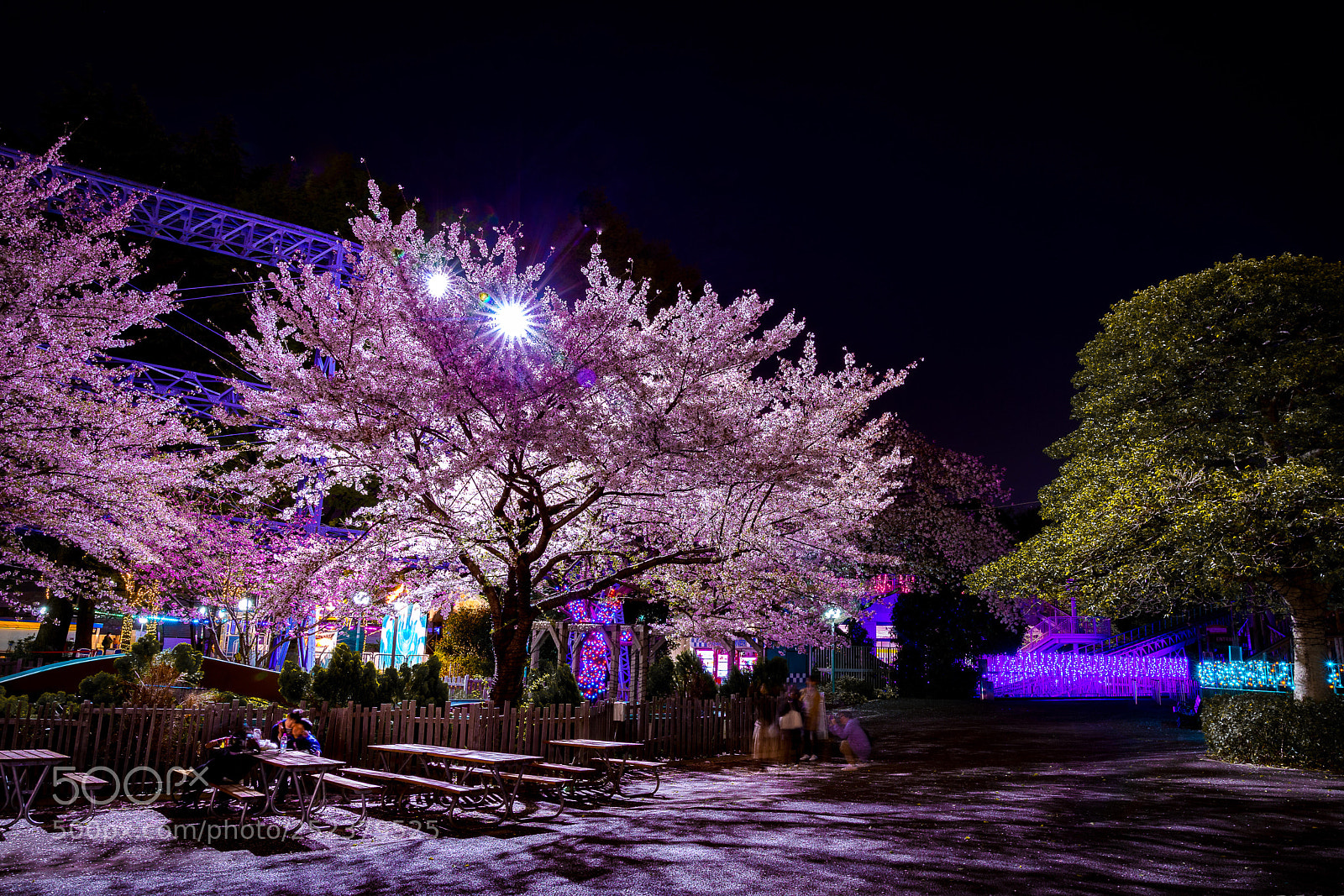 Sony a7 II sample photo. Untitled photography