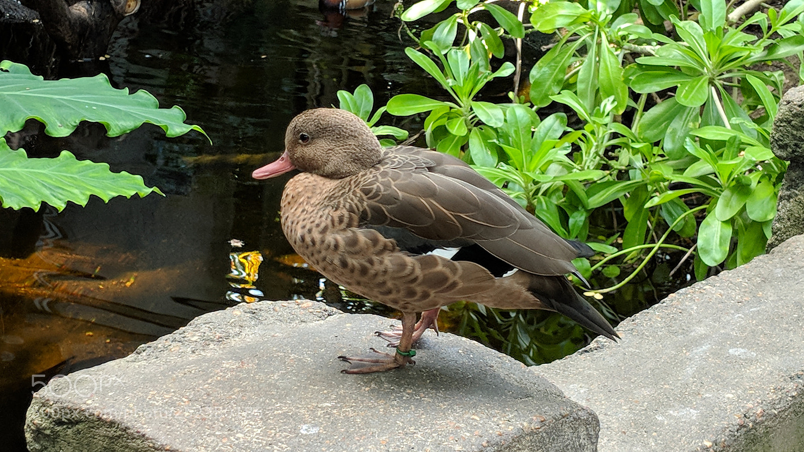Google Pixel 2 sample photo. Untitled photography