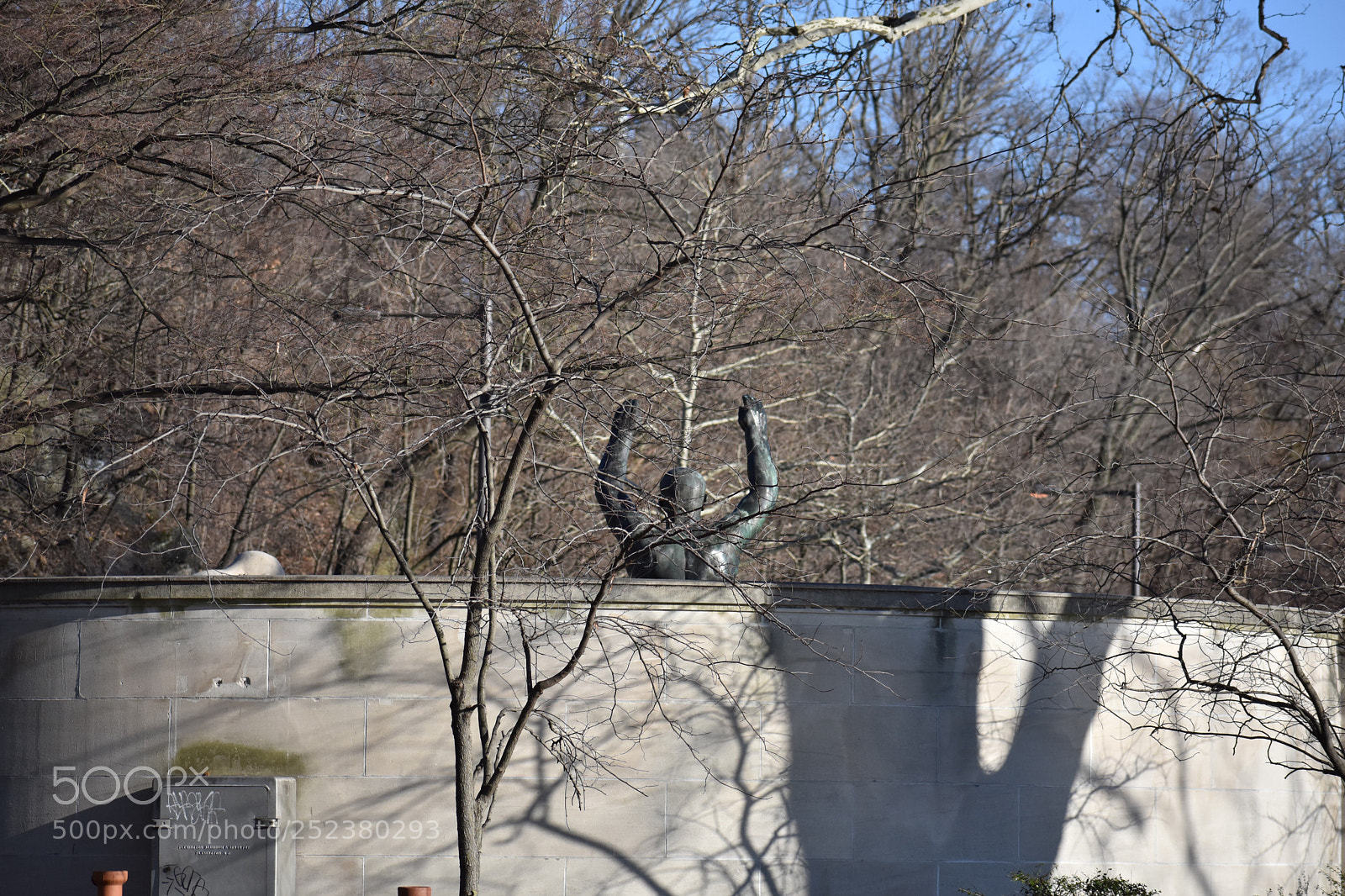 Nikon D3400 sample photo. Raise the roof! photography