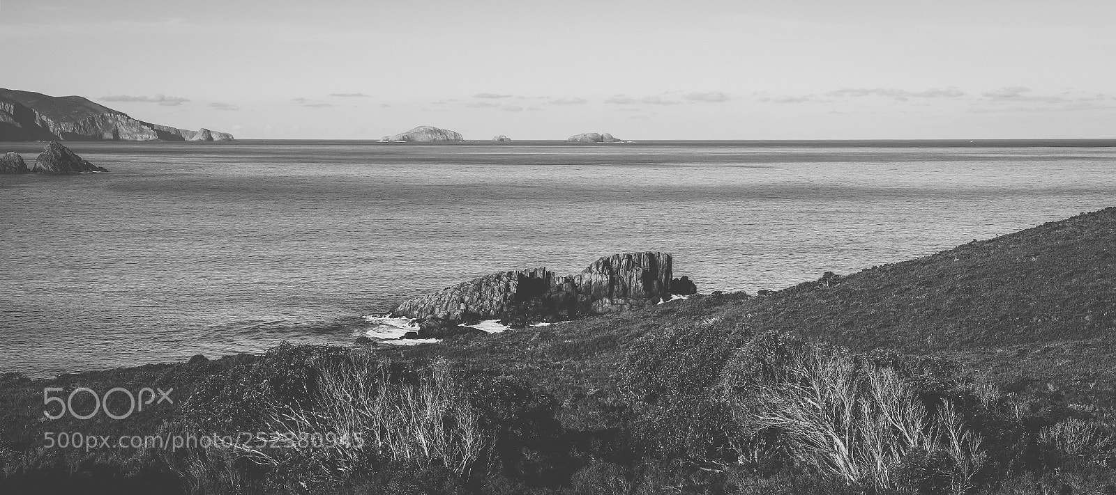Nikon D800 sample photo. View of bruny island photography