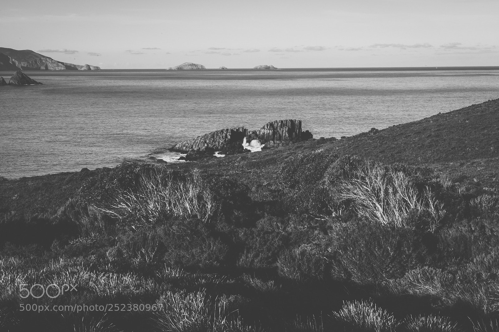 Nikon D800 sample photo. View of bruny island photography