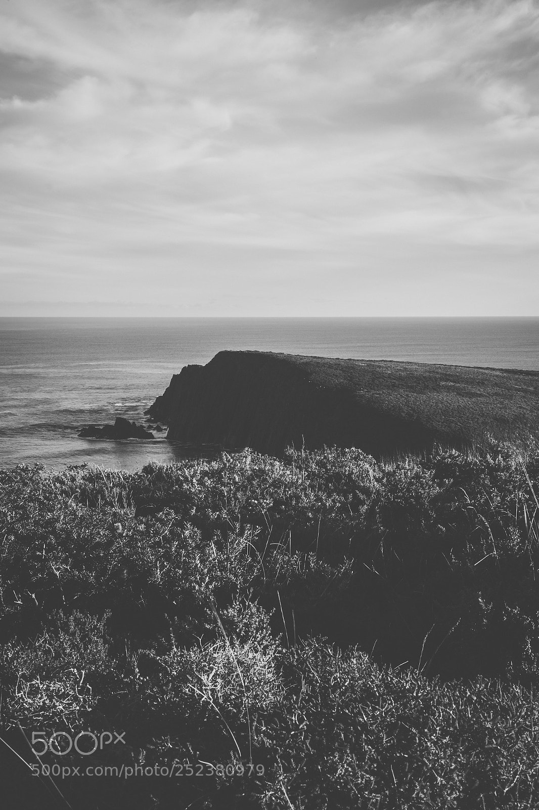 Nikon D800 sample photo. View of bruny island photography