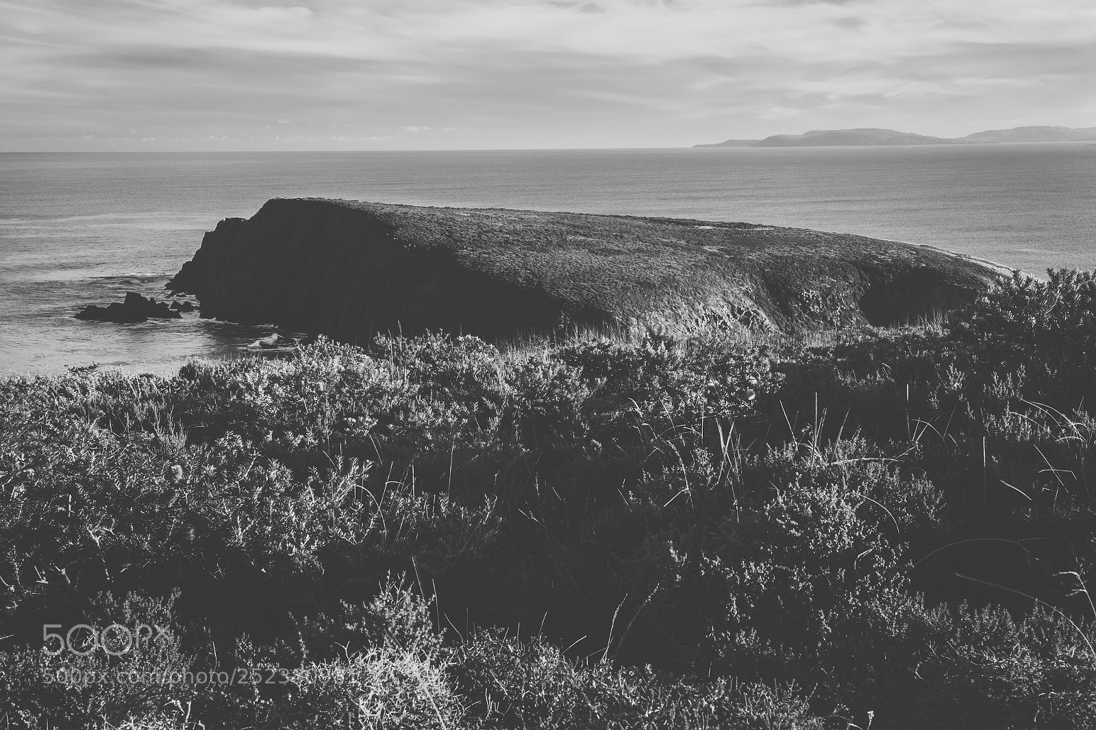 Nikon D800 sample photo. View of bruny island photography