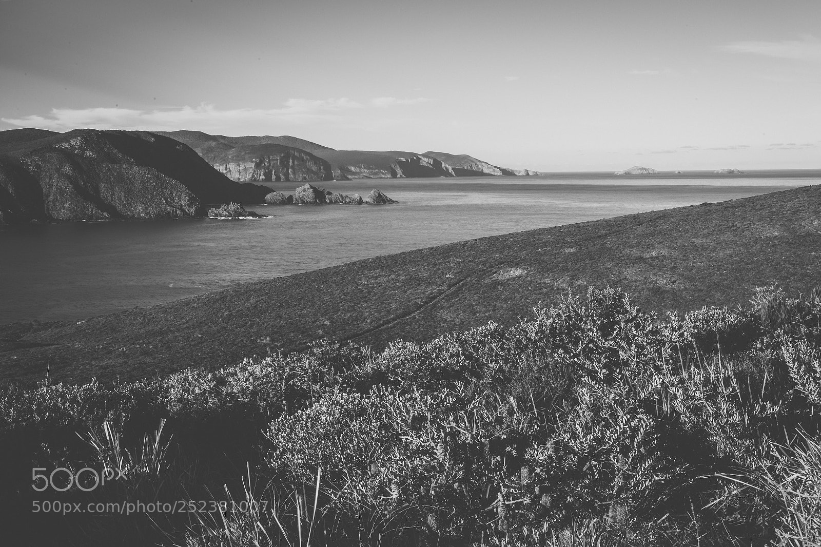Nikon D800 sample photo. View of bruny island photography