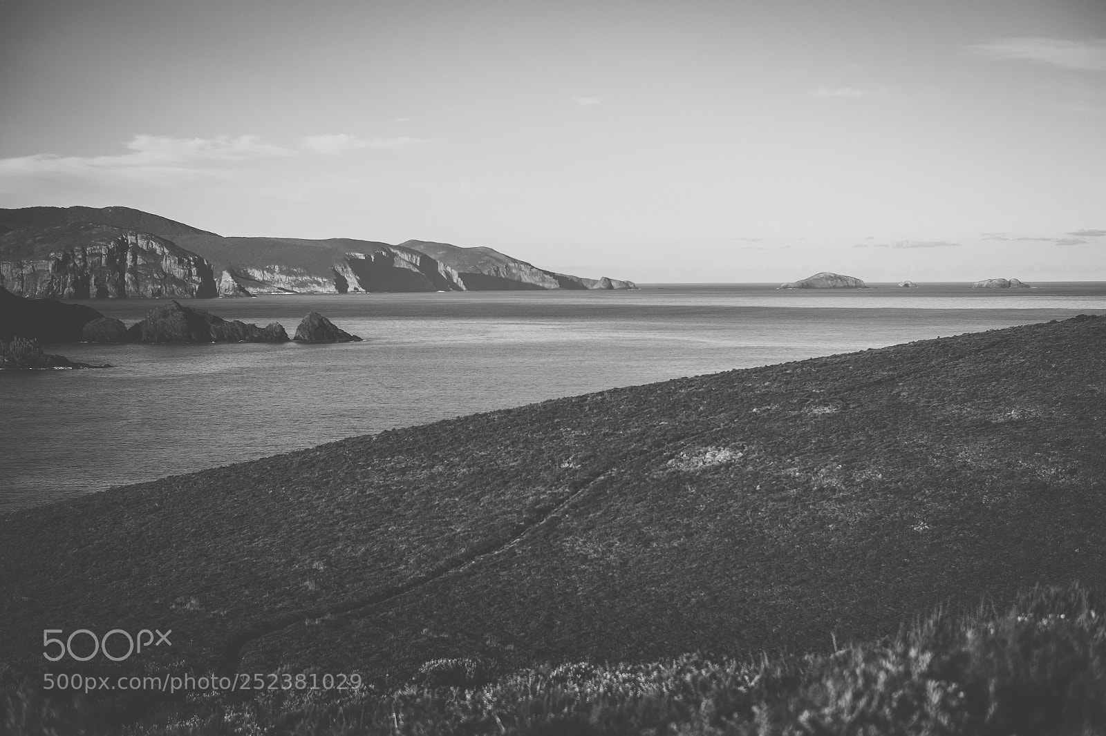 Nikon D800 sample photo. View of bruny island photography