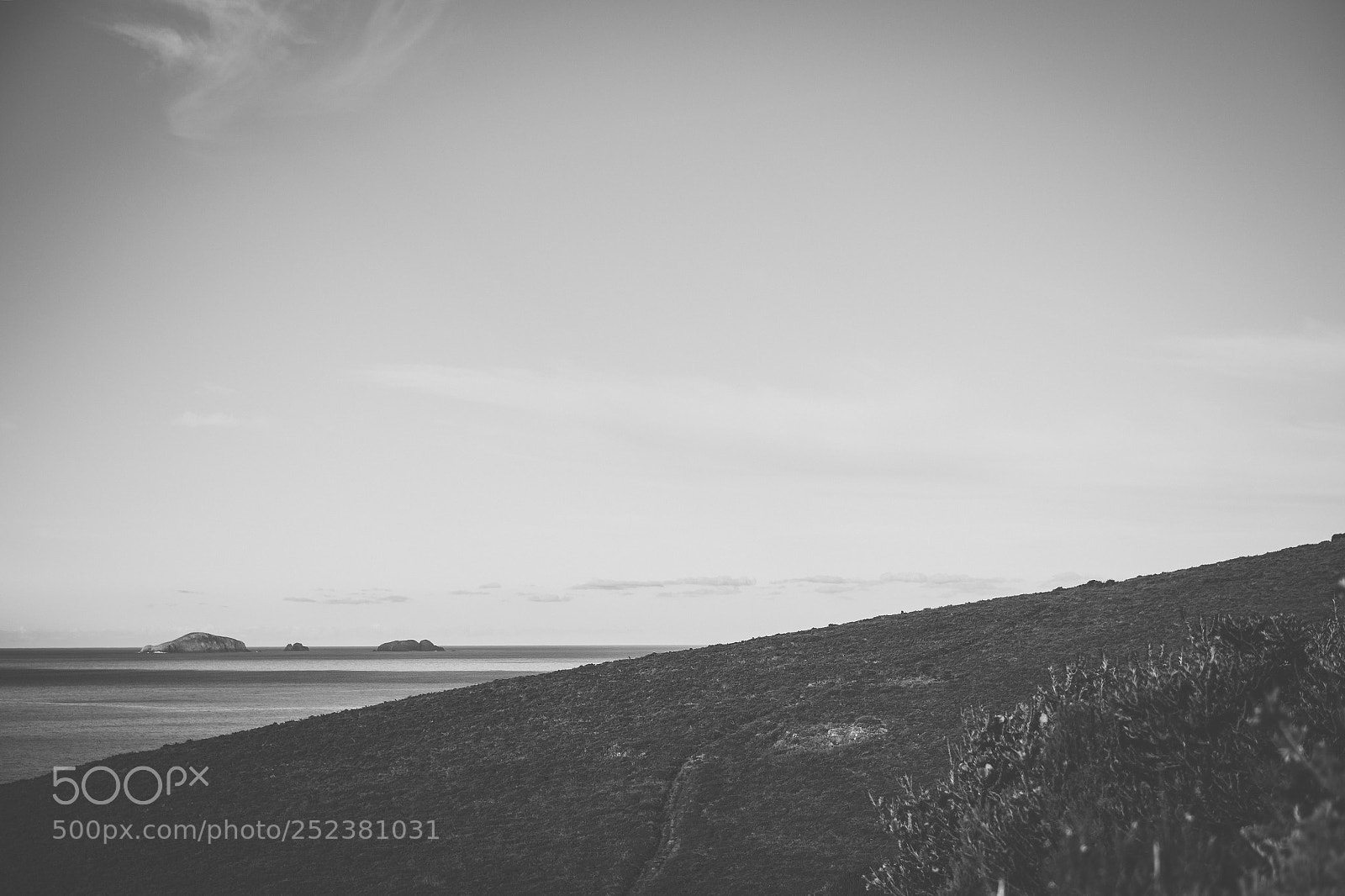 Nikon D800 sample photo. View of bruny island photography