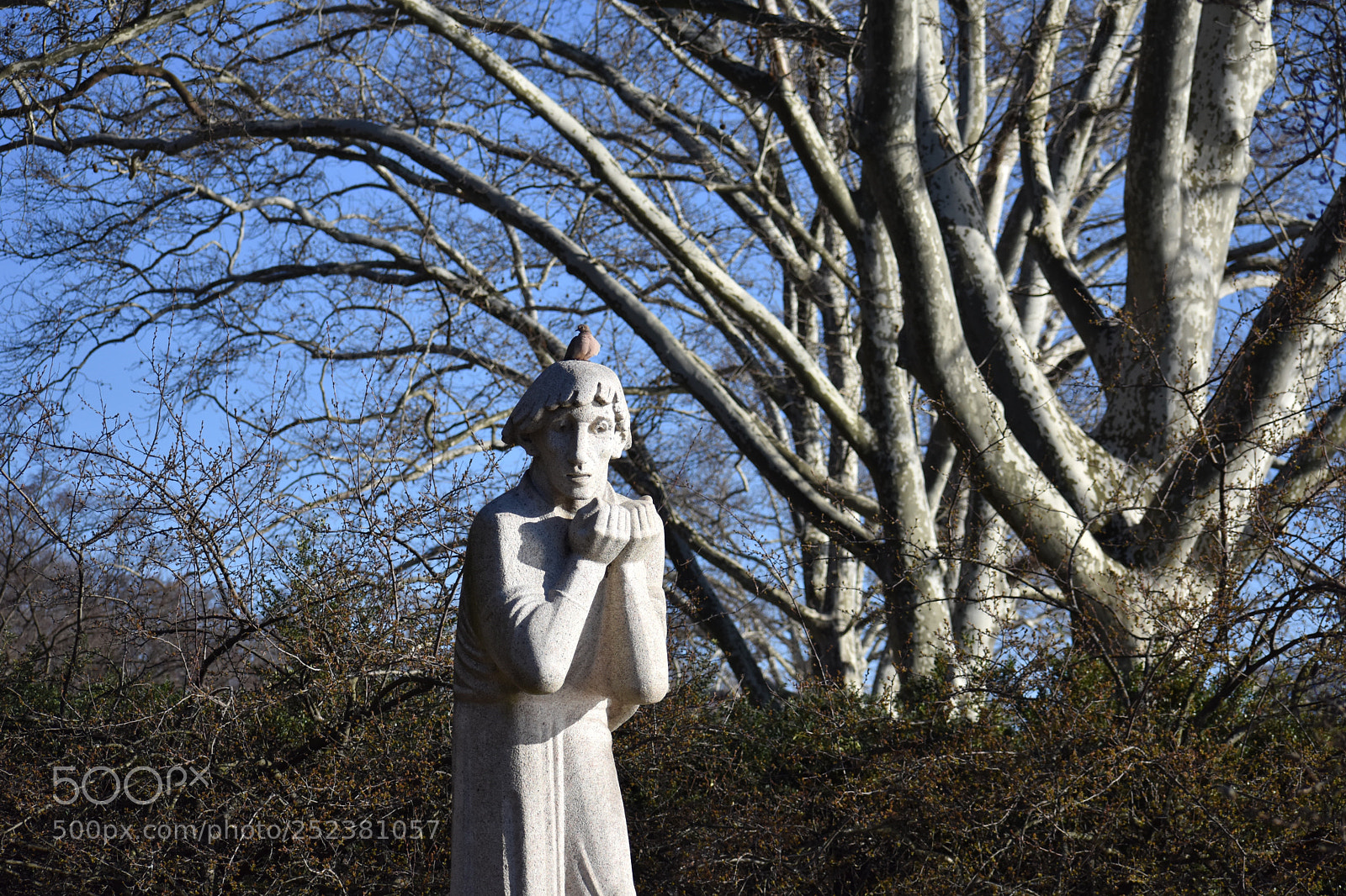 Nikon D3400 sample photo. The pullback photography
