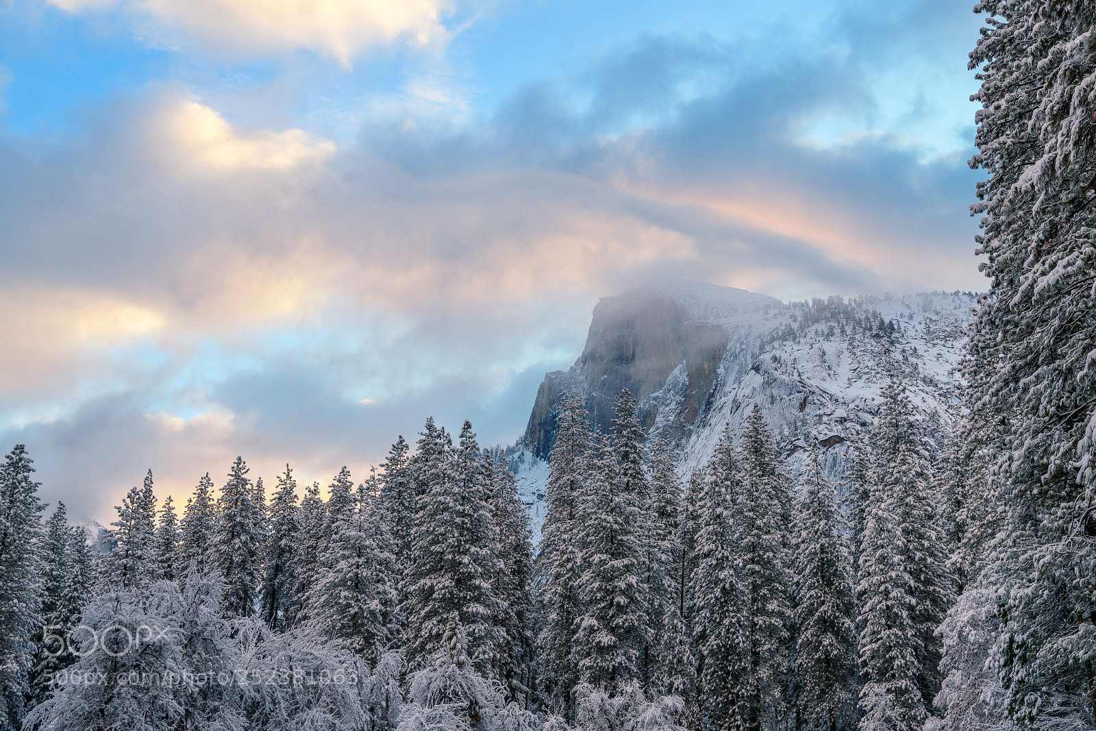 Nikon D850 sample photo. Iconic half dome ! photography