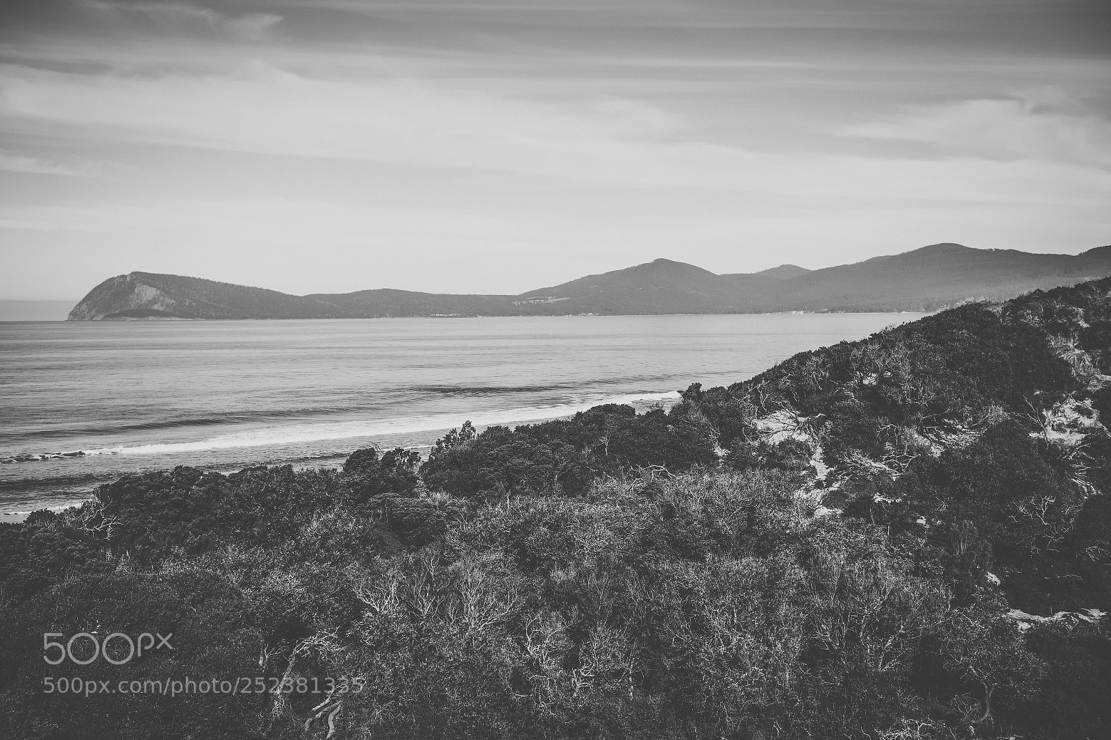 Nikon D800 sample photo. View of bruny island photography