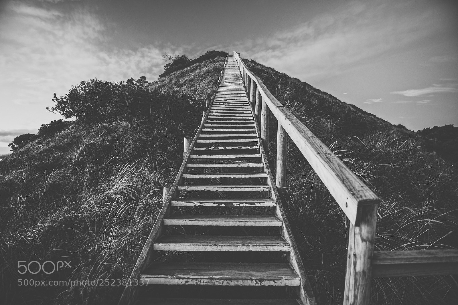 Nikon D800 sample photo. View of bruny island photography