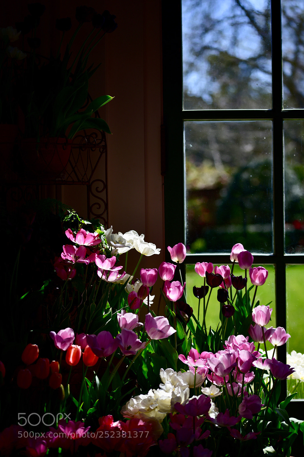 Nikon D810 sample photo. Untitled photography