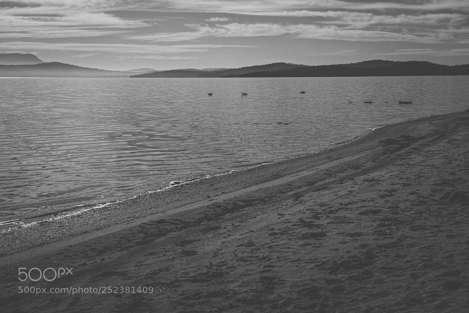 Nikon D800 sample photo. View of bruny island photography