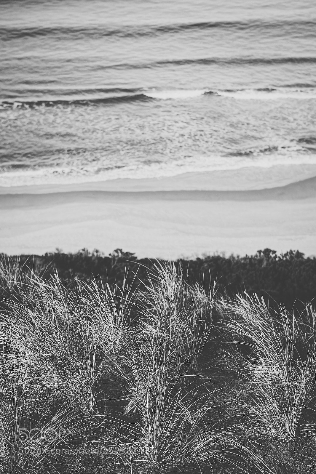 Nikon D800 sample photo. View of bruny island photography