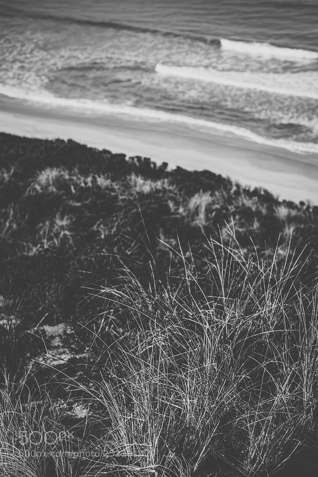 Nikon D800 sample photo. View of bruny island photography