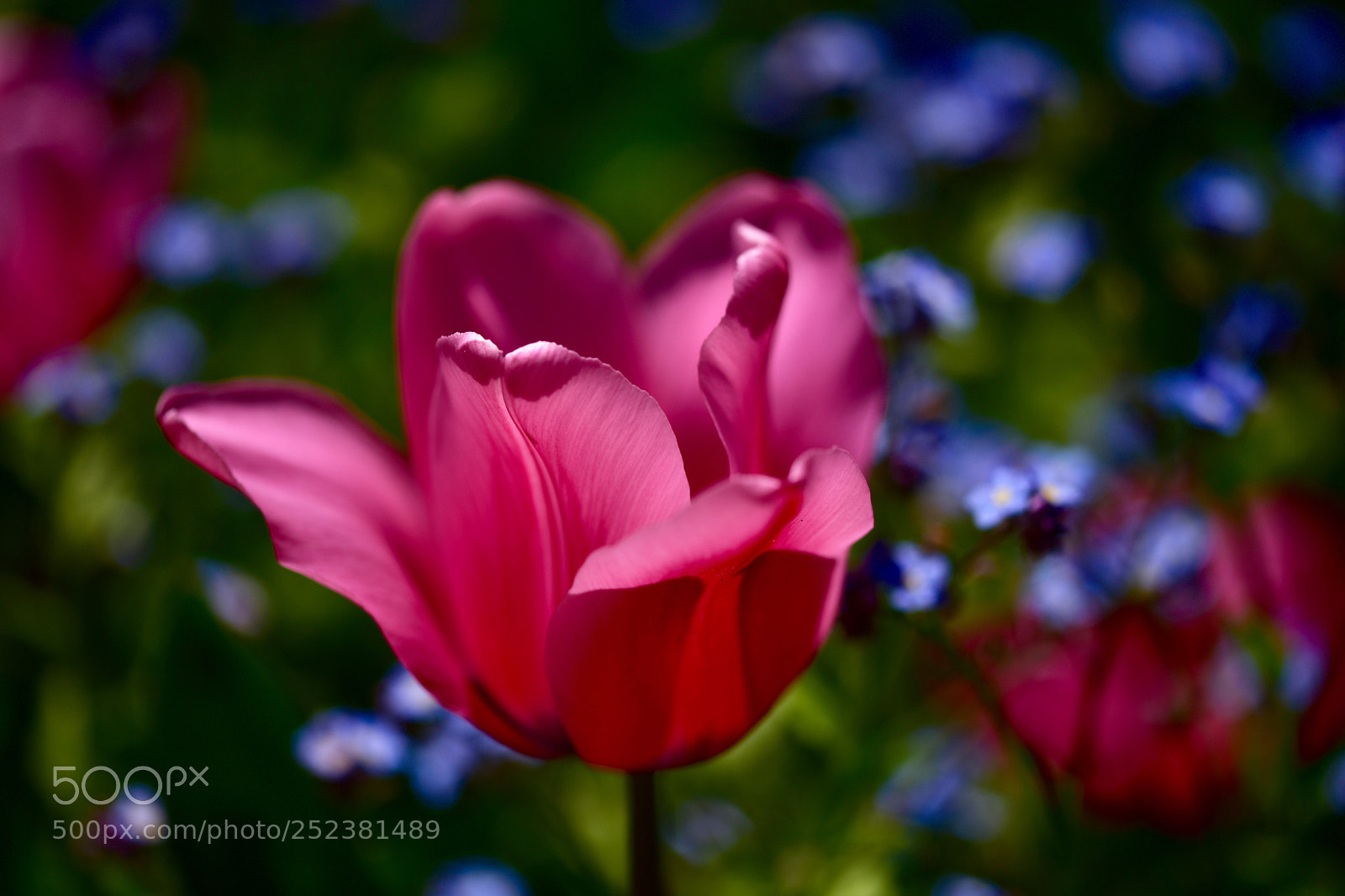 Nikon D810 sample photo. Untitled photography