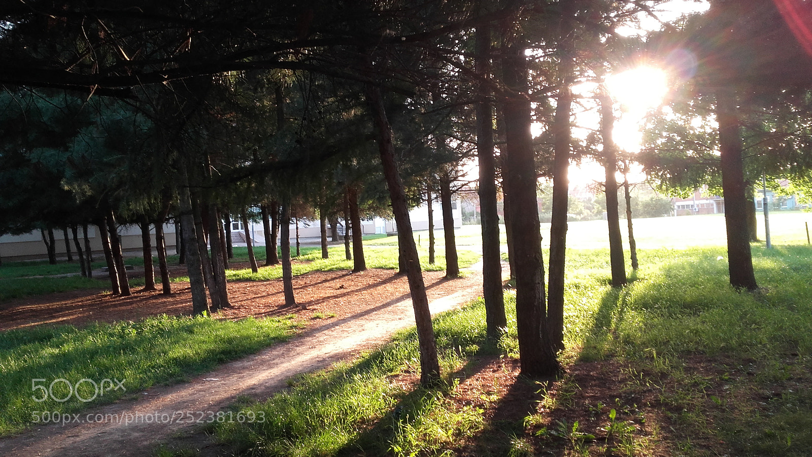 Samsung Galaxy Grand Prime sample photo. Beautiful sunset photography