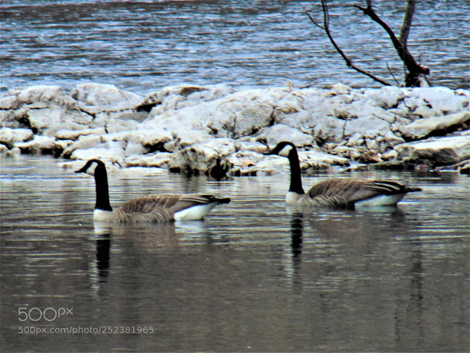 Sony Cyber-shot DSC-H300 sample photo. Duck creek bettendorf iowa photography