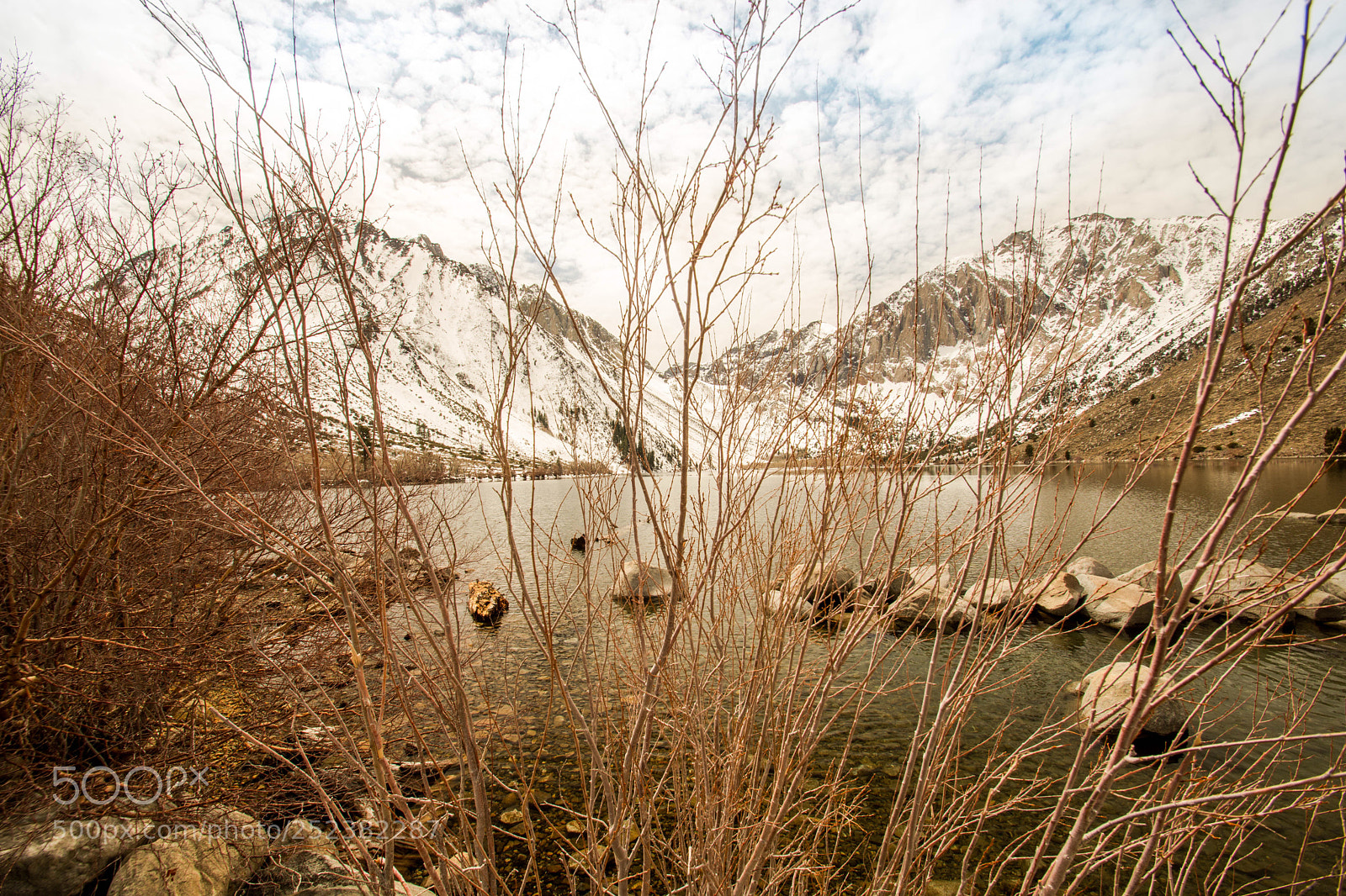 Nikon D7200 sample photo. Camaflouge  photography