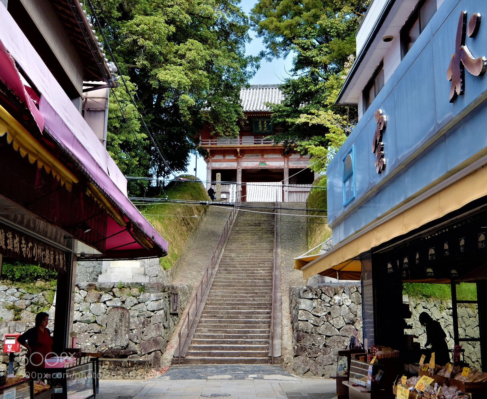 Fujifilm X-T10 sample photo. Temple gate to dojo-ji photography