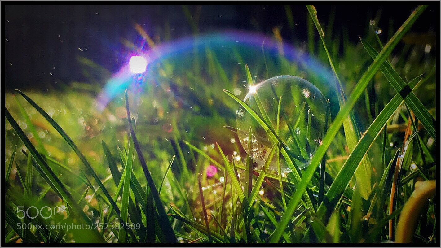 Apple iPhone 6s sample photo. Untitled photography