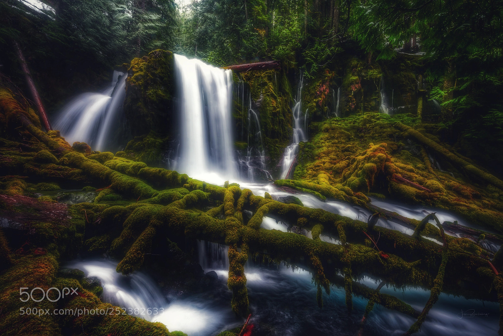 Nikon D810 sample photo. Mossy dreams photography