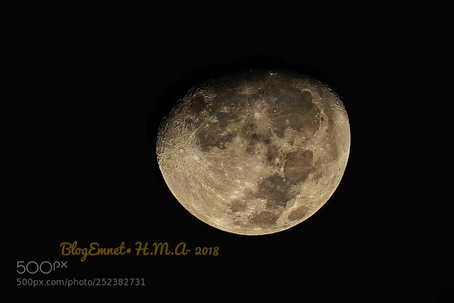 Sony a7S II sample photo. The moon lives in photography